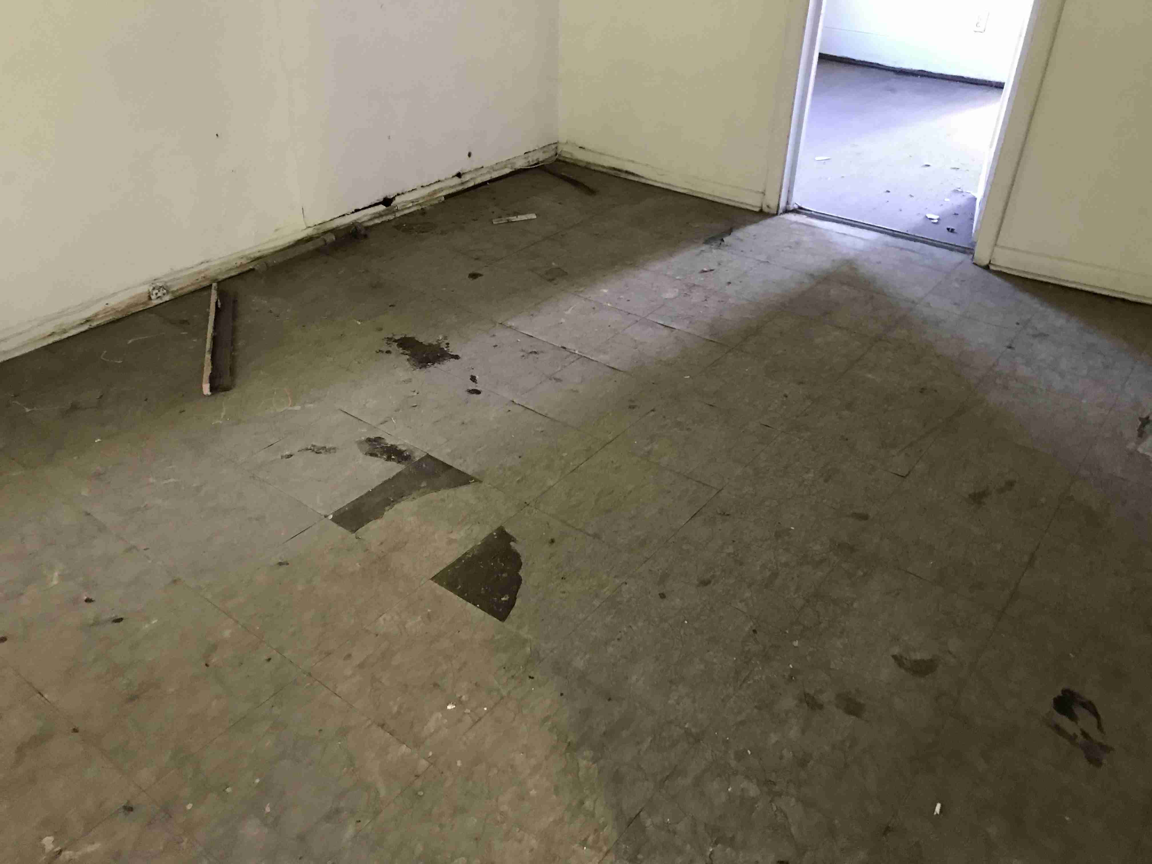 Photo Oct 13, 3 13 55 PM.jpg